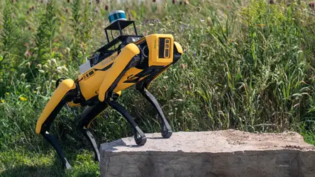 Robot Spot de Boston Dynamics