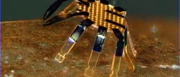 Conoce al Robot más Pequeño del Mundo